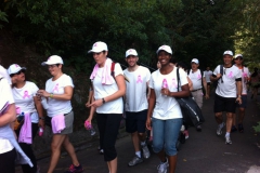 Pink Walk 2012